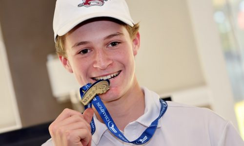 Div. 3 state golf championship: Medalist Ohanesian delivers for Ayer Shirley