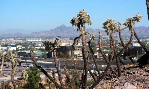 We may not know the next president on Election Day. This Arizona swing county could be why