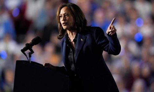Harris and Trump target Michigan as both parties try to shore up ‘blue wall’ votes