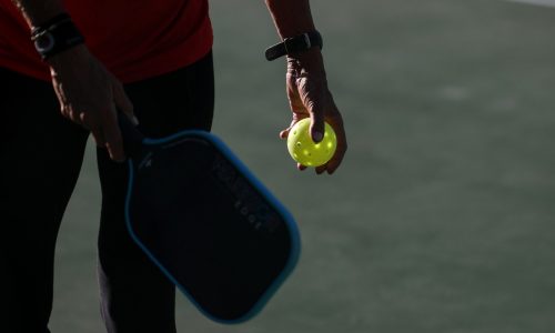 Pickleball travel destinations to dink away from home