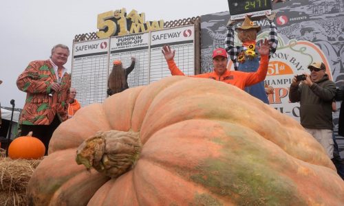 Pumpkin weighing 2,471 pounds wins California contest