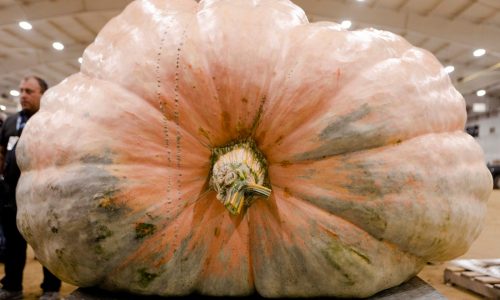 Ton+ pumpkin earns Sharon man fourth 1st-place win at Topsfield Fair (photos)