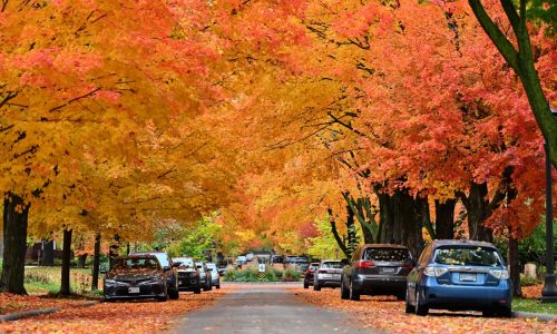 St. Paul begins annual fall street sweep