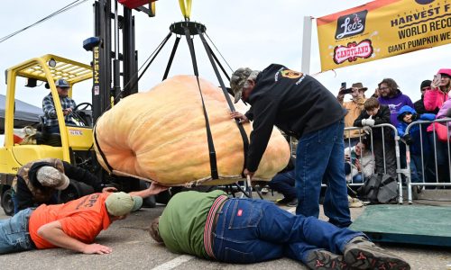 King of the Gourds: Giant pumpkin growers to face off in Stillwater