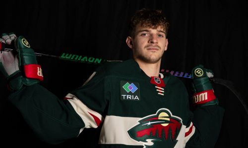 Wild newcomer Jakub Lauko is full of surprises