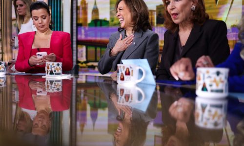 Podcasts, ‘The View’ and Howard Stern: How Harris and Trump are ‘microtargeting’ voters