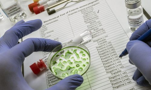 Listeria recall of chicken hits Publix, Target, Amazon, Kroger, Albertsons and others