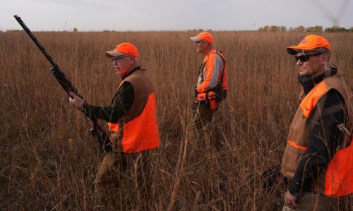I covered Gov. Walz’s pheasant hunt and got an unexpected lesson in misinformation