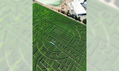 Navigating this world-record corn maze is a test of the human psyche