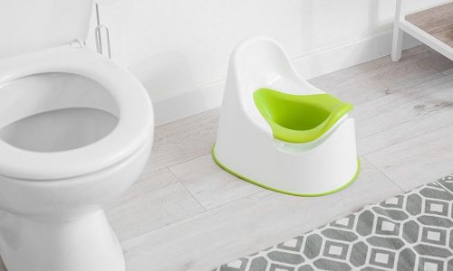 Boost your toddler’s confidence with these top potty seats