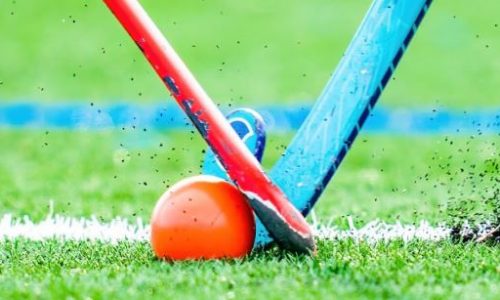 Walpole field hockey stays perfect in gritty win over Winchester