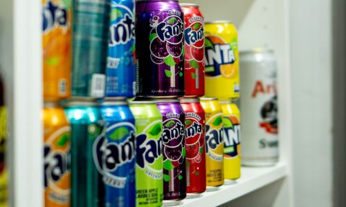 Adrian Wooldridge: Nanny states are now essential to economic health