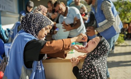 News from the WHO: Intense bombardments, mass displacements and lack of access in northern Gaza force the postponement of polio vaccination campaign https://ift.tt/7S2Vq01 

 October 23, 2024 at 07:00AM