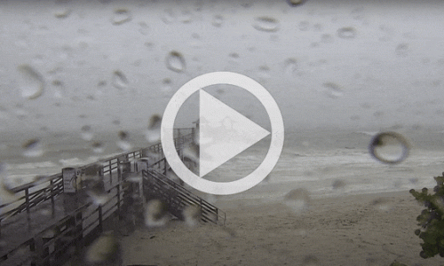 WATCH LIVE: Hurricane Milton webcams capture scene across Florida