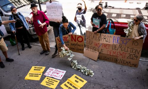 The Federal Bill That Would Pour $40 Billion Into NYCHA’s Section 9