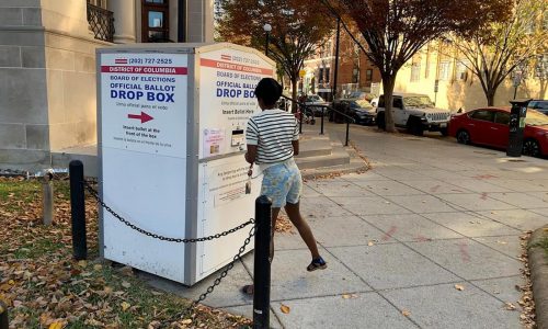 Ranked choice voting faces cloudy future after election setbacks