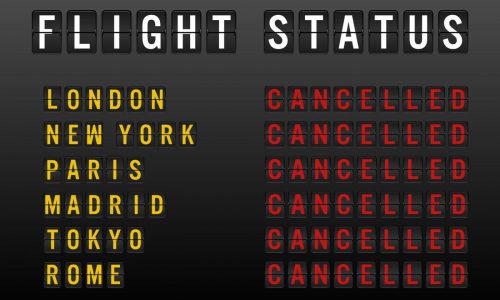 What is trip cancellation and interruption insurance?