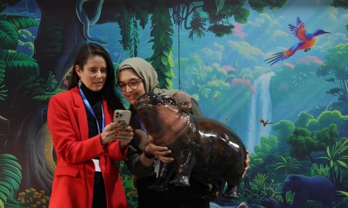 Moo Deng is a worldwide phenomenon. How long can this global love affair last?