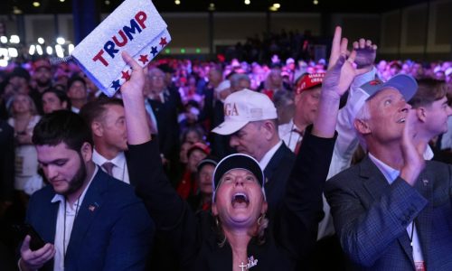 PHOTOS: Stark contrast between Harris and Trump supporters as election margin becomes razor thin