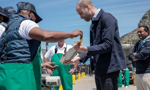 Prince William intends to do royal duties with a ‘smaller r,’ emphasizing ’empathy’