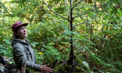 Akiba: Big budgets alone won’t solve environmental woes