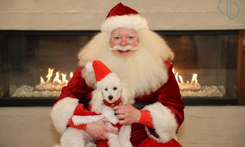 Amp up the season with festive events around N.E.