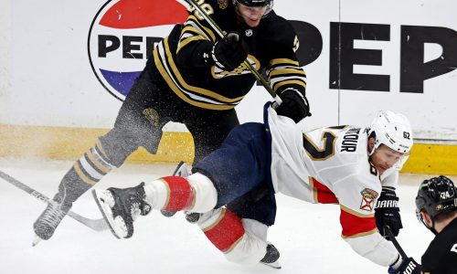 Bruins call up forward Patrick Brown