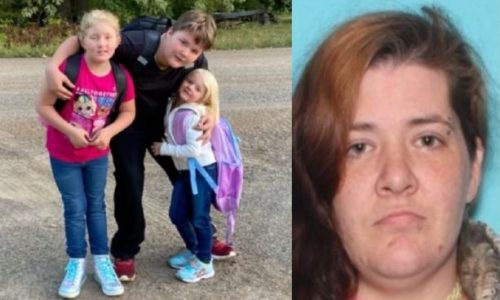Amber Alert issued for pregnant woman and four children reportedly abducted at gunpoint near Brainerd