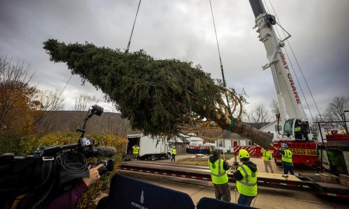 74-foot Rockefeller Christmas tree is en route from Massachusetts