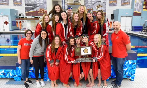 High school girls swim and dive state meet preview