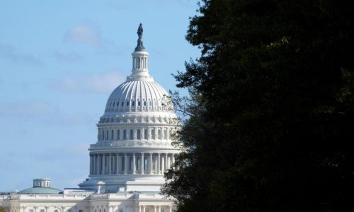 Congress returns to unfinished business and a new Trump era