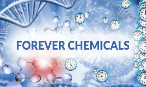 ‘Forever Chemicals’ in US Drinking Water: A Growing Problem