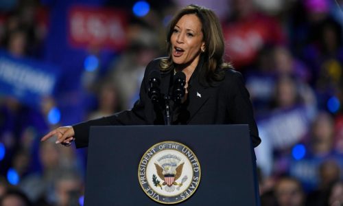 Kamala Harris will appear on SNL in last episode before presidential election: sources