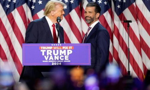 Donald Trump Jr. says pushback against Cabinet picks proves they’re the disrupters voters wanted