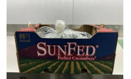 FDA Issues Recall Alert for SunFed Cucumbers Due to Salmonella Risk