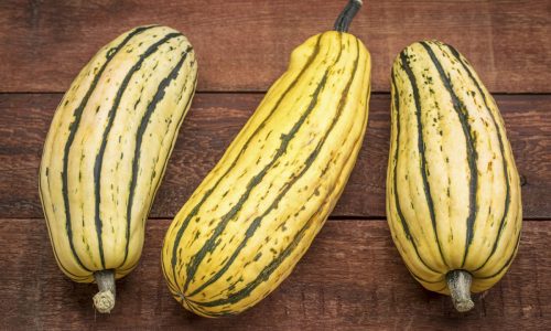 It’s squash season, and we’re all about delicata