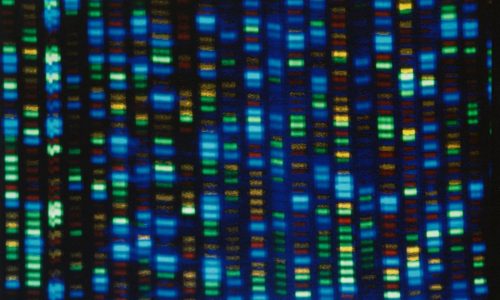 Nila Bala: The risks of sharing your DNA with online companies aren’t a future concern. They’re here now