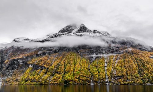 Reader Alert: Travel with our food editor, Jess Fleming, to Scandinavia!