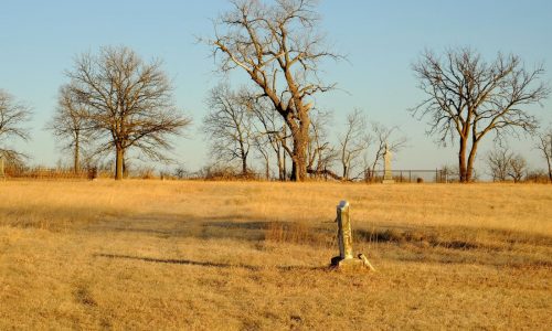 After institutions for people with disabilities close, graves are at risk of being forgotten