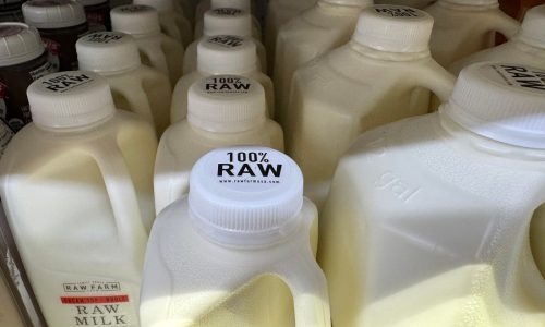 Raw milk from a California dairy is recalled after routine testing detected the bird flu virus