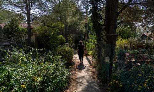 In an Israeli settlement named after Trump, residents see opportunity after the election