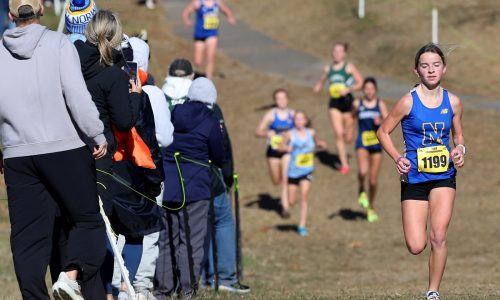 Division 3 cross-country championships: Freshman Murray dominates