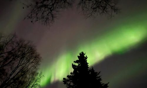 Northern lights may be faintly visible across parts of the US this Thanksgiving