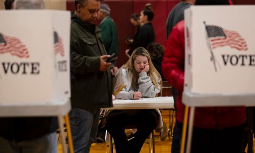 It’s the day after Election Day 2024. Here’s where things stand.