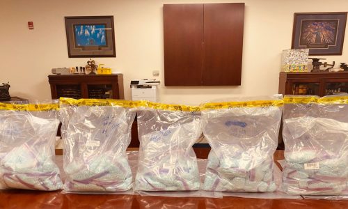 Feds get third guilty plea in smuggling ring that mailed fentanyl in stuffed animals