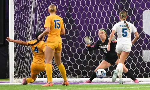 State soccer roundup: Wayzata girls win Class 3A title