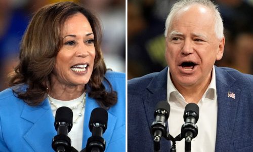 30 Minnesota mayors have endorsed Harris, her state campaign says