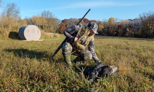 When the turkey comes from the field, not the freezer