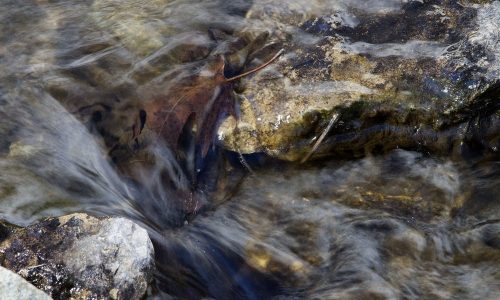 Research finds insecticide common in shallow ground water across Minnesota