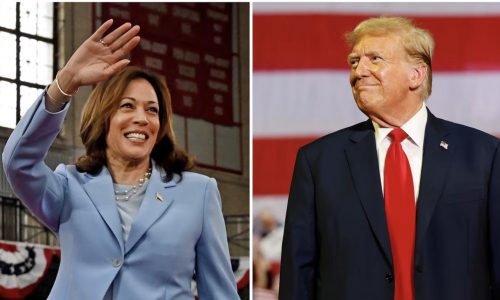 Taxes, tariffs and more: 5 key economic stakes of the US election